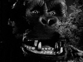 king kong GIF