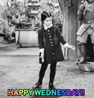 Wednesday Morning GIF by MOODMAN