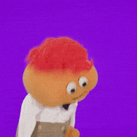 Wednesday Morning GIF by Gerbert!