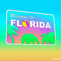 Fox Gay GIF by Animation Domination High-Def