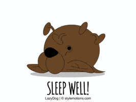 Good Night Sleep GIF by stylemotions