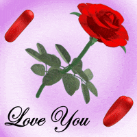 donation-image