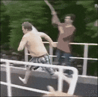 dive GIF dive GIF