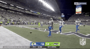 Los Angeles Rams Football GIF by NFL