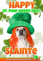 St Patricks Day Taylor GIF by PetJuvenate - PJ