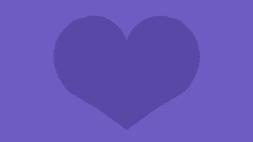 I Love You Cat GIF by Holler Studios