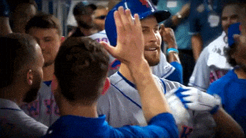 high five new york mets GIF by SNY