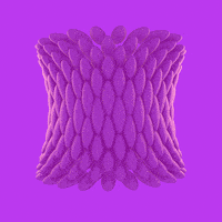 loop render GIF by xponentialdesign