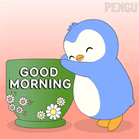 Good Morning GIF by Pudgy Penguins