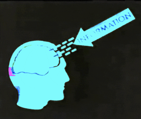 The Ultimate Guide: Focusing on Studies