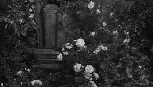 black and white wow GIF