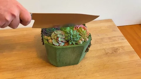 Eye Candy Cake GIF by The Roku Channel