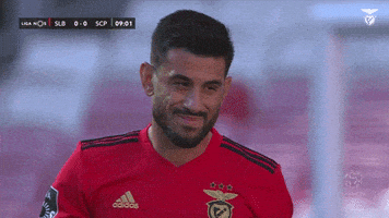 Sl Benfica No GIF by Sport Lisboa e Benfica