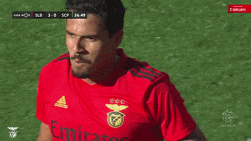 Sl Benfica Slbgif GIF by Sport Lisboa e Benfica