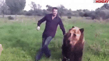 GIF by FirstAndMonday