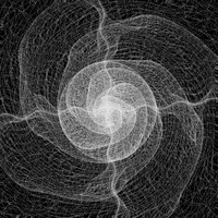 Black And White Loop GIF by xponentialdesign
