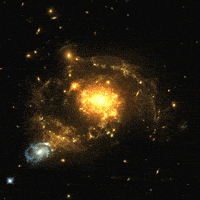 Loop Relaxing GIF by xponentialdesign