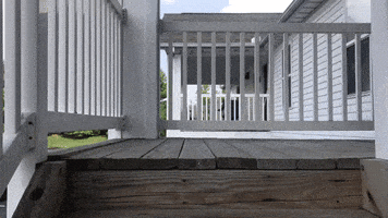 happy shiba inu GIF by KeepUpWithJaz