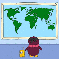 Explore Lets Go GIF by Pudgy Penguins