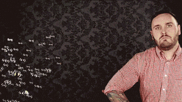 people someone GIF