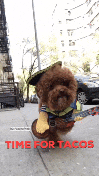 New York Running GIF New York Running GIF