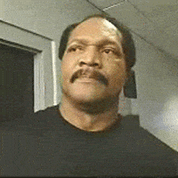 law and order crazy shit GIF law and order crazy shit GIF