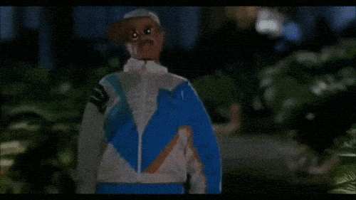 giphy-downsized.gif