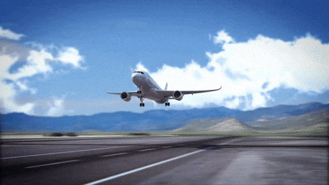 Atterrissage Avion GIFs - Find & Share on GIPHY