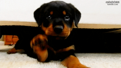 source.gif