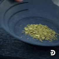 200w.gif