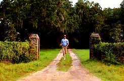 Run Forrest Run GIFs - Find & Share on GIPHY