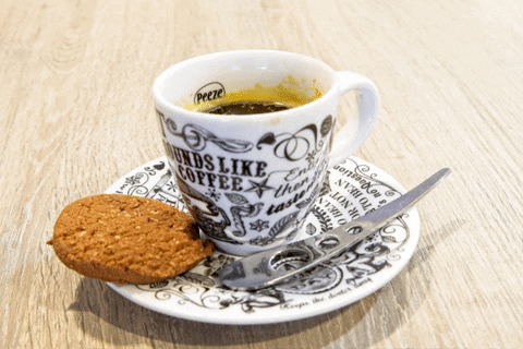 Kopje Koffie GIFs - Find & Share on GIPHY