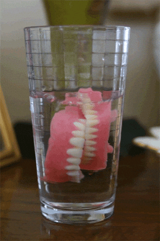 giphy.gif