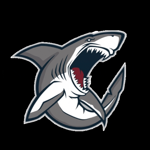 shark3076