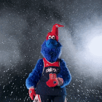 Wizards Mascot GIFs - Find & Share on GIPHY