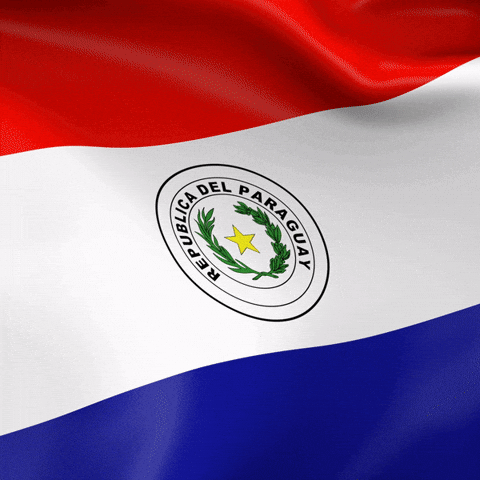 Bandera Paraguay GIF
