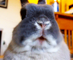 source.gif