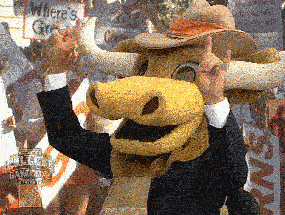 Longhorn GIFs - Find & Share on GIPHY