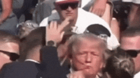 Vote Trump GIFs - Find & Share on GIPHY