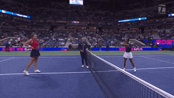 Us Open Sport GIF by Tennis Channel