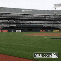 usa player GIF by MLB