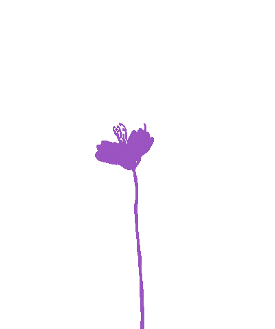 Flower Oerrr Sticker by Natuurmonumenten