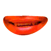 Muiwow Sticker by MUITEC