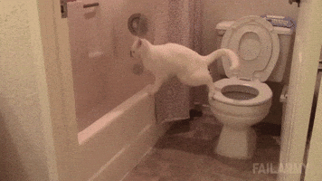 jump GIF