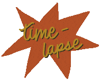 Time Lapse Illustration Sticker