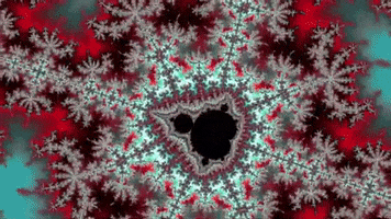 Benoit Mandelbrot Visuals GIF by xponentialdesign
