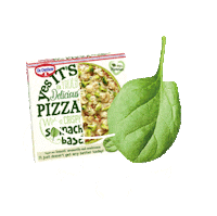 Pizza Spinazie Sticker by Dr Oetker NL