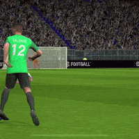 Football Argentina GIF