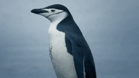 GIF by XiaomiEspana