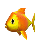 fish GIF